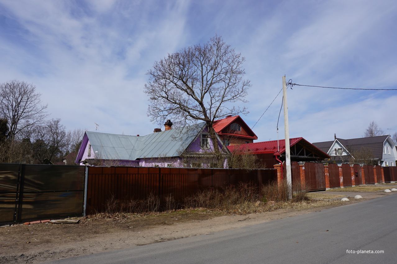 г.Сестрорецк.