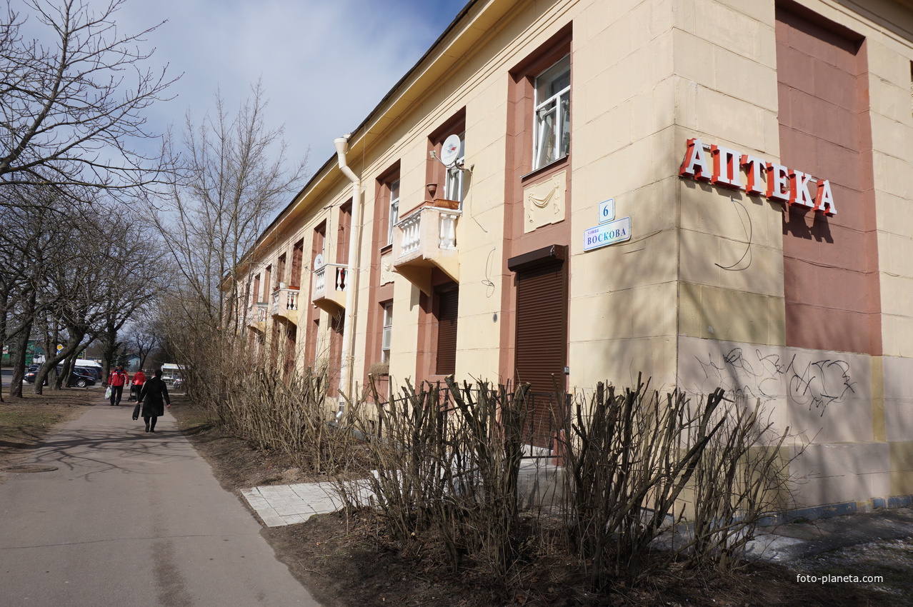 г.Сестрорецк.