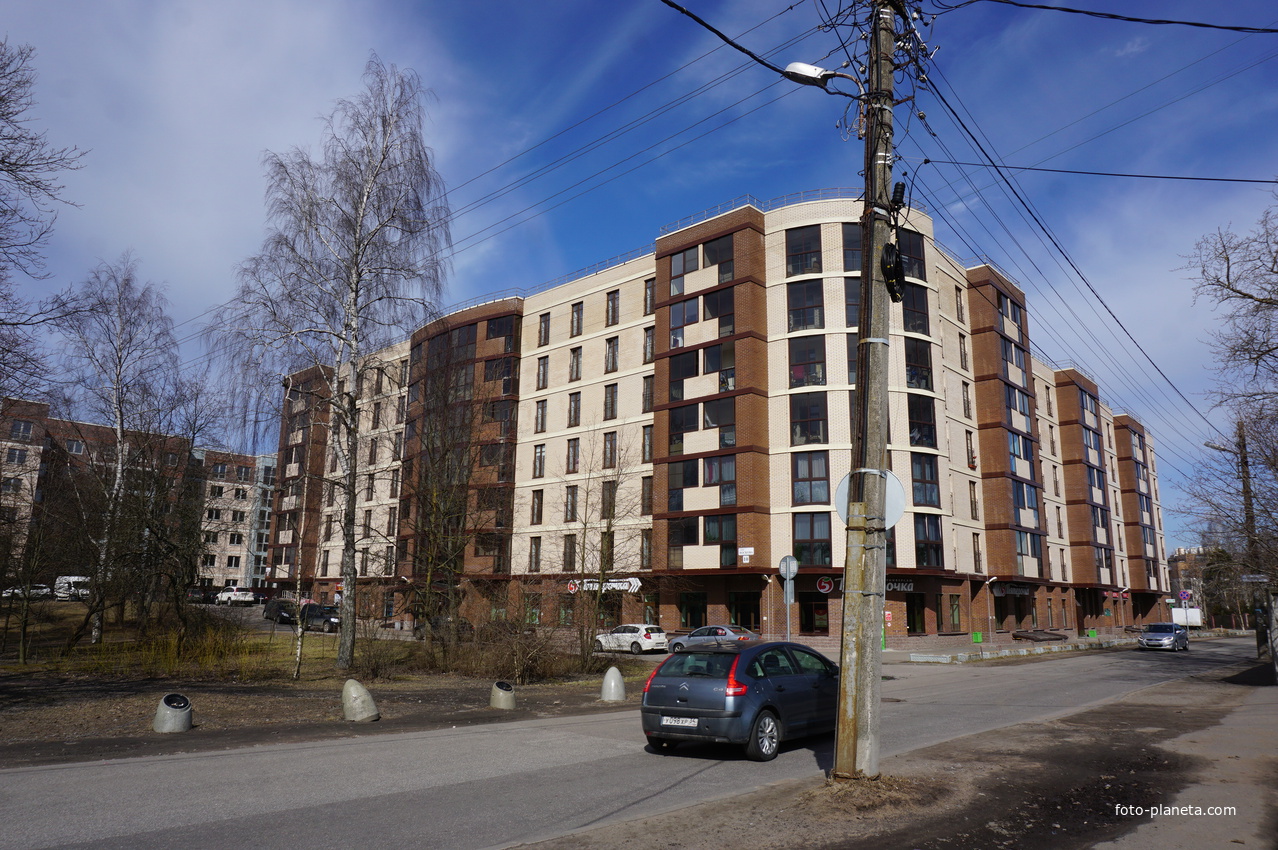 г.Сестрорецк.