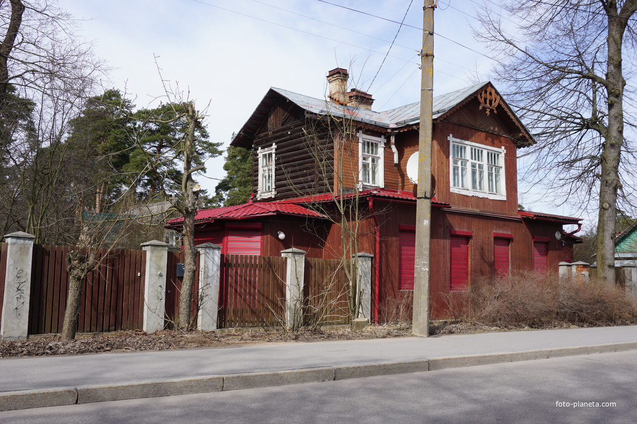 г.Сестрорецк.