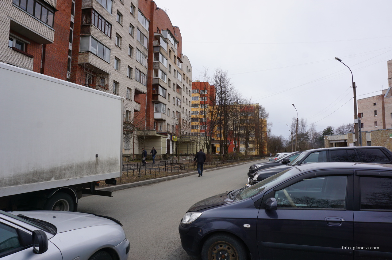 г.Сестрорецк.