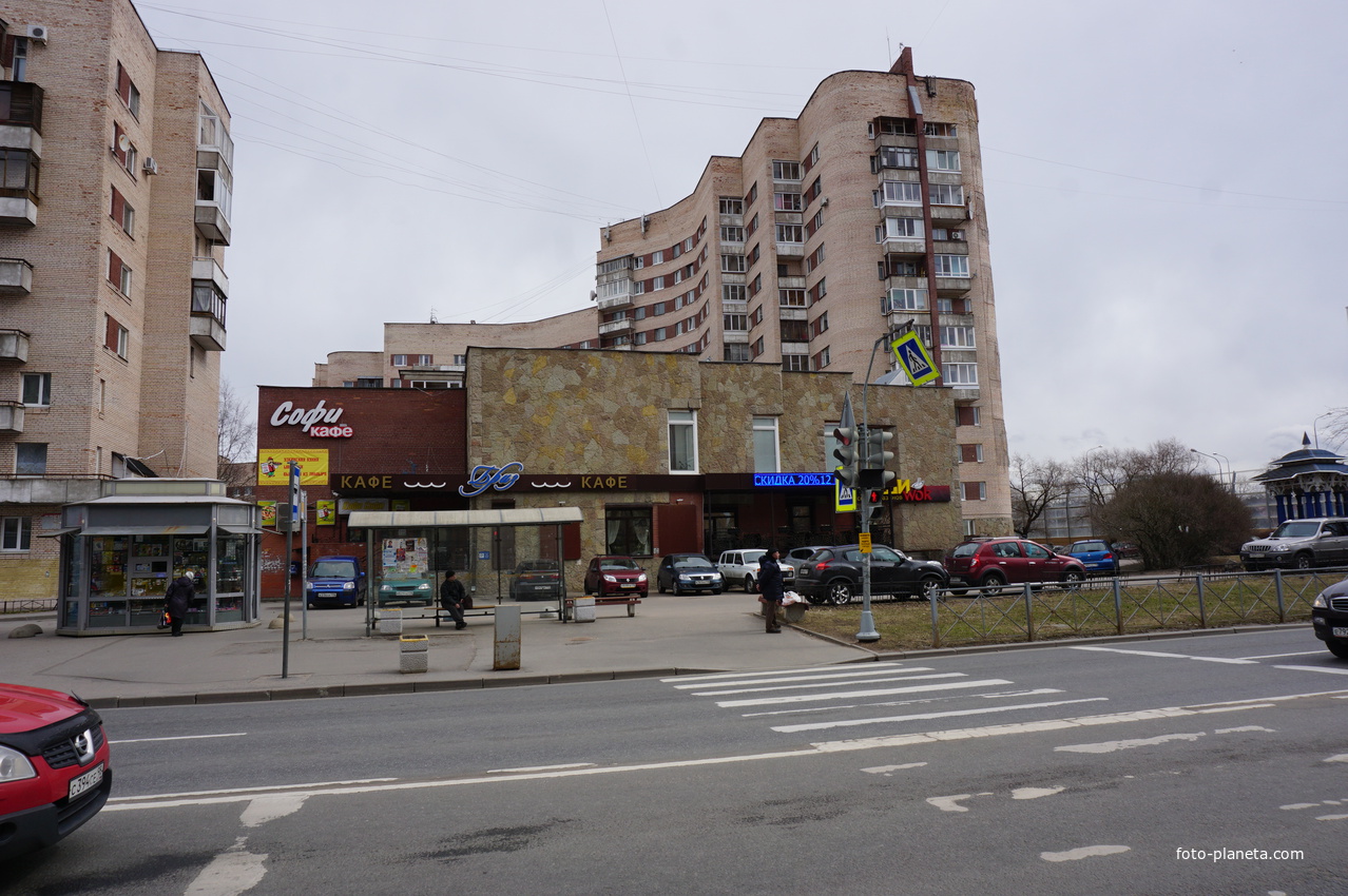 г.Сестрорецк.