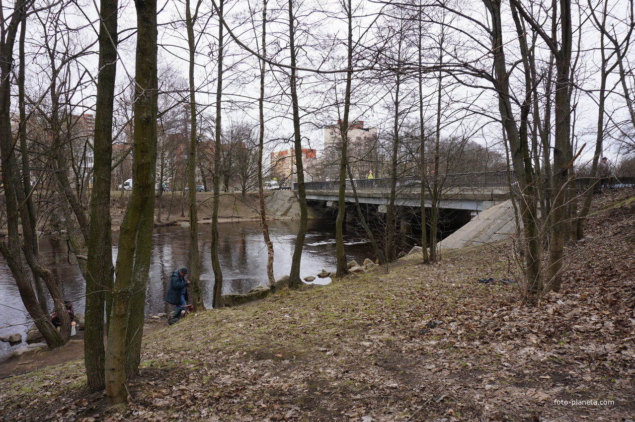 г.Сестрорецк.