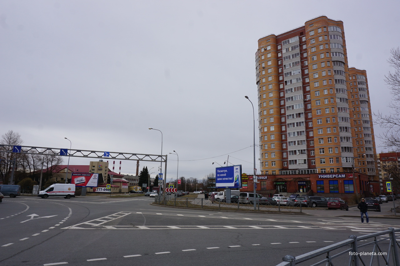 г.Сестрорецк.