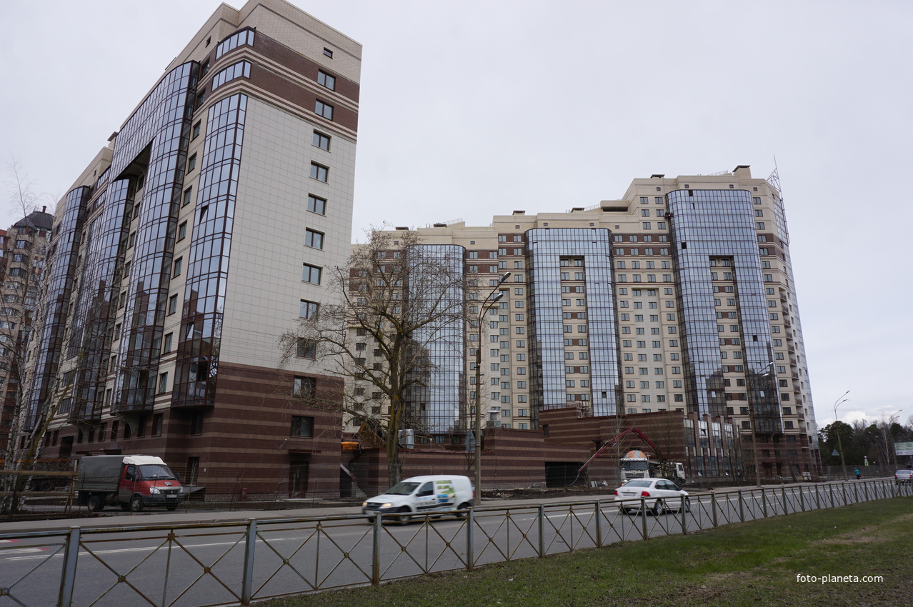 г.Сестрорецк.