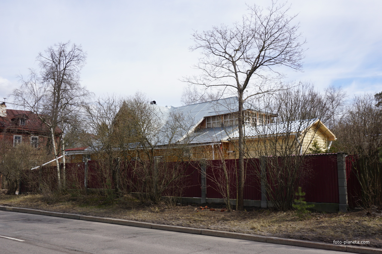 г.Сестрорецк.