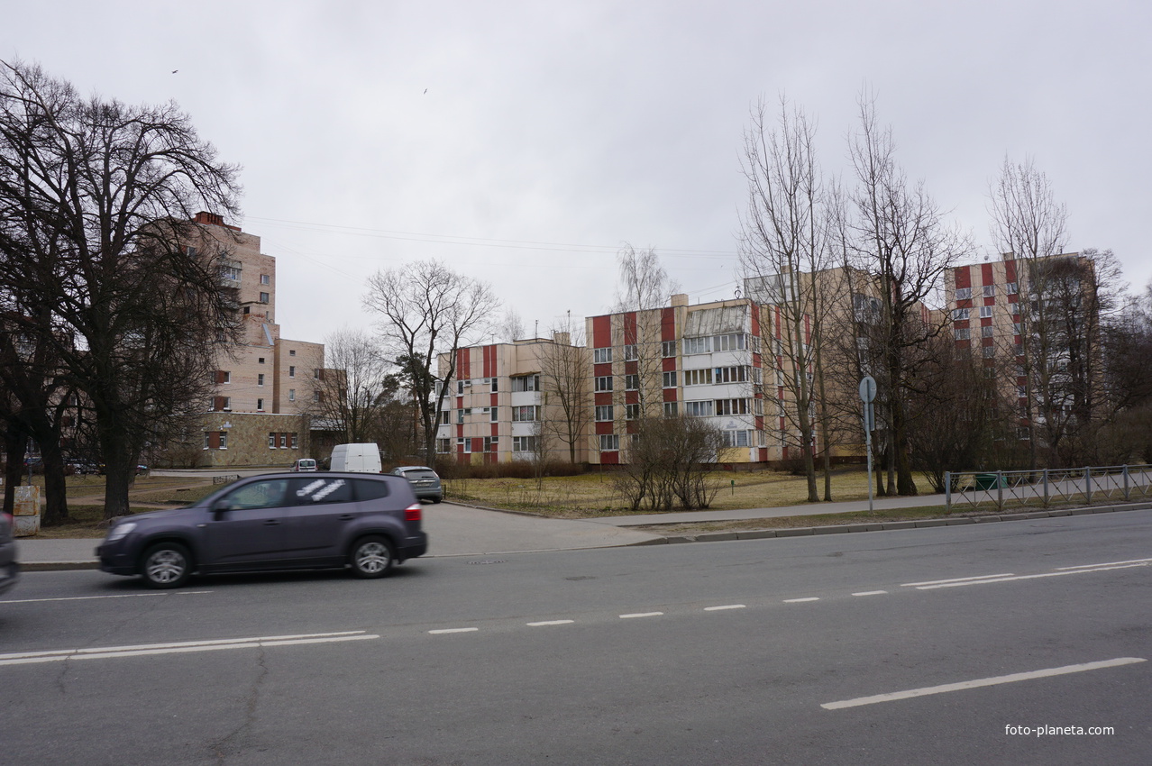 г.Сестрорецк.