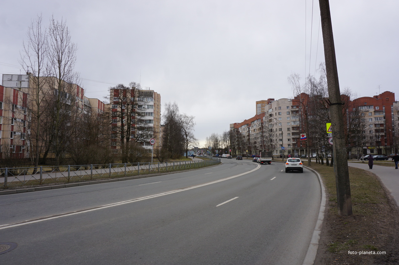 г.Сестрорецк.