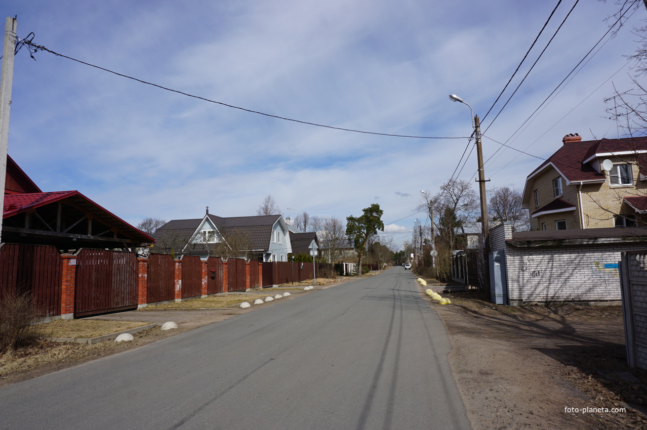 г.Сестрорецк.