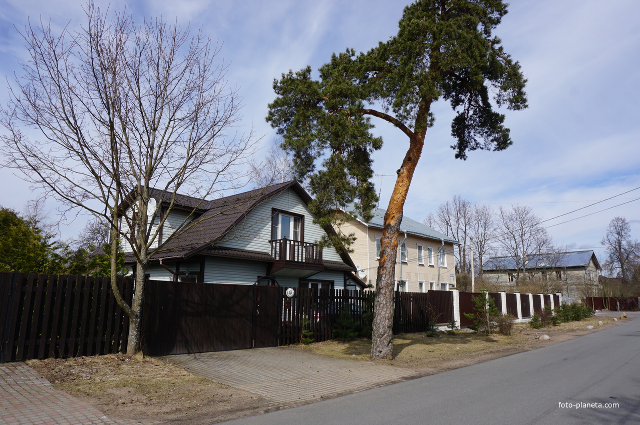 г.Сестрорецк.