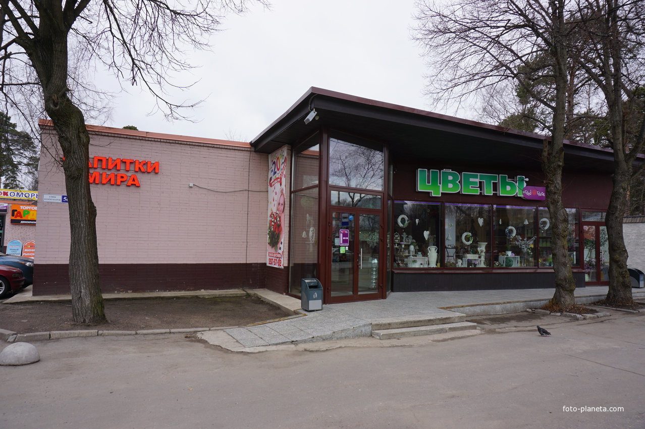 г.Сестрорецк.