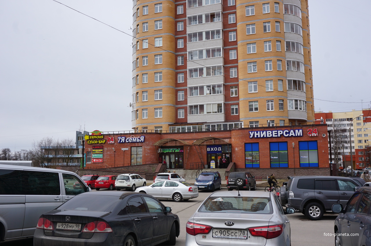 г.Сестрорецк.