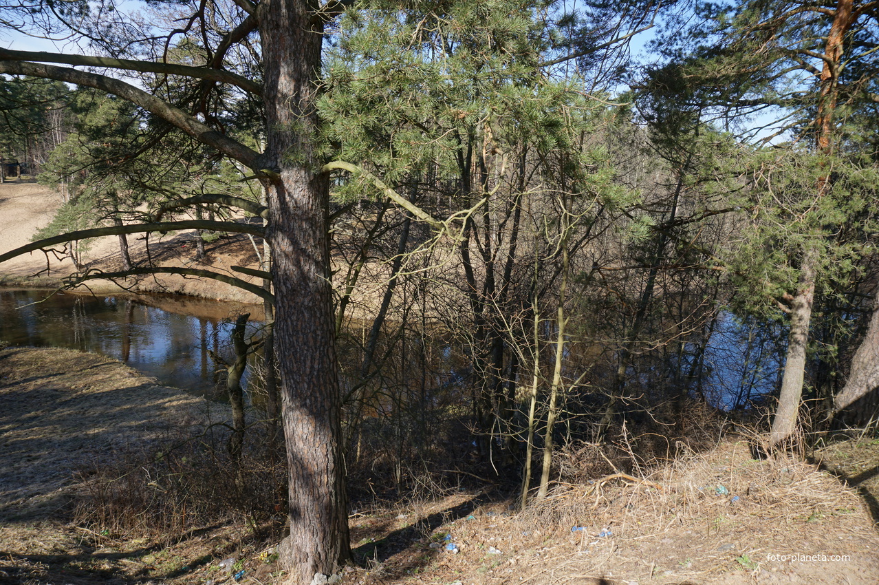 г.Сестрорецк.