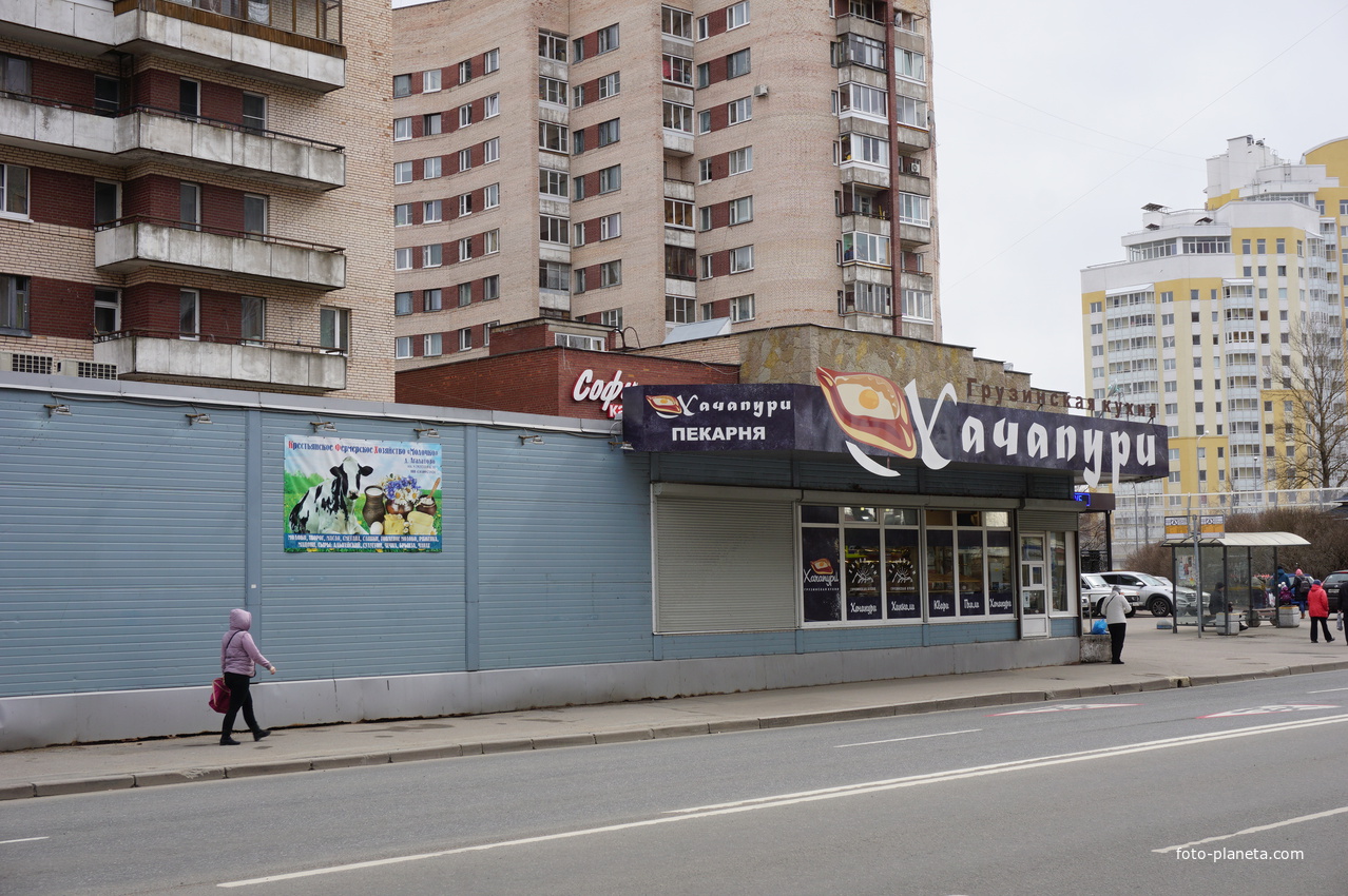 г.Сестрорецк.