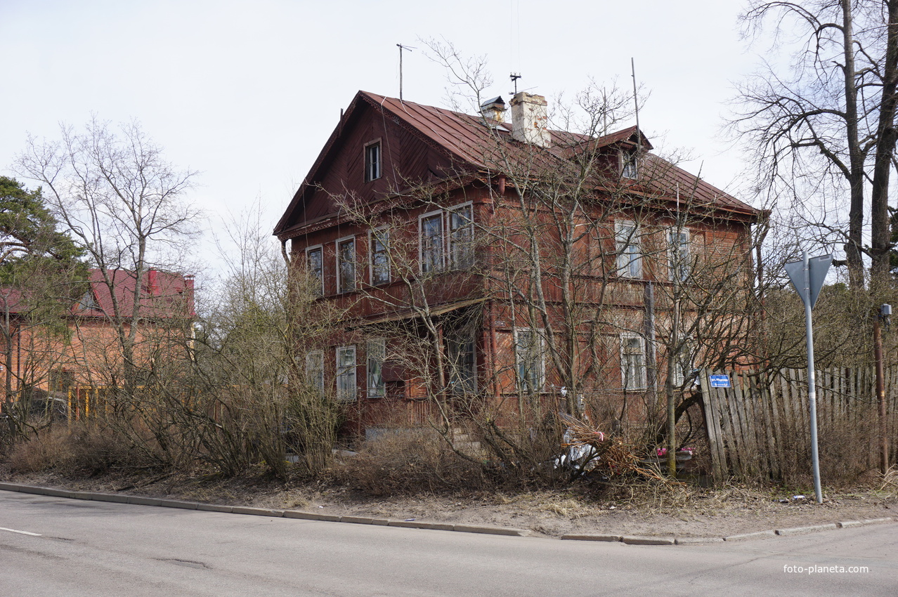 г.Сестрорецк.