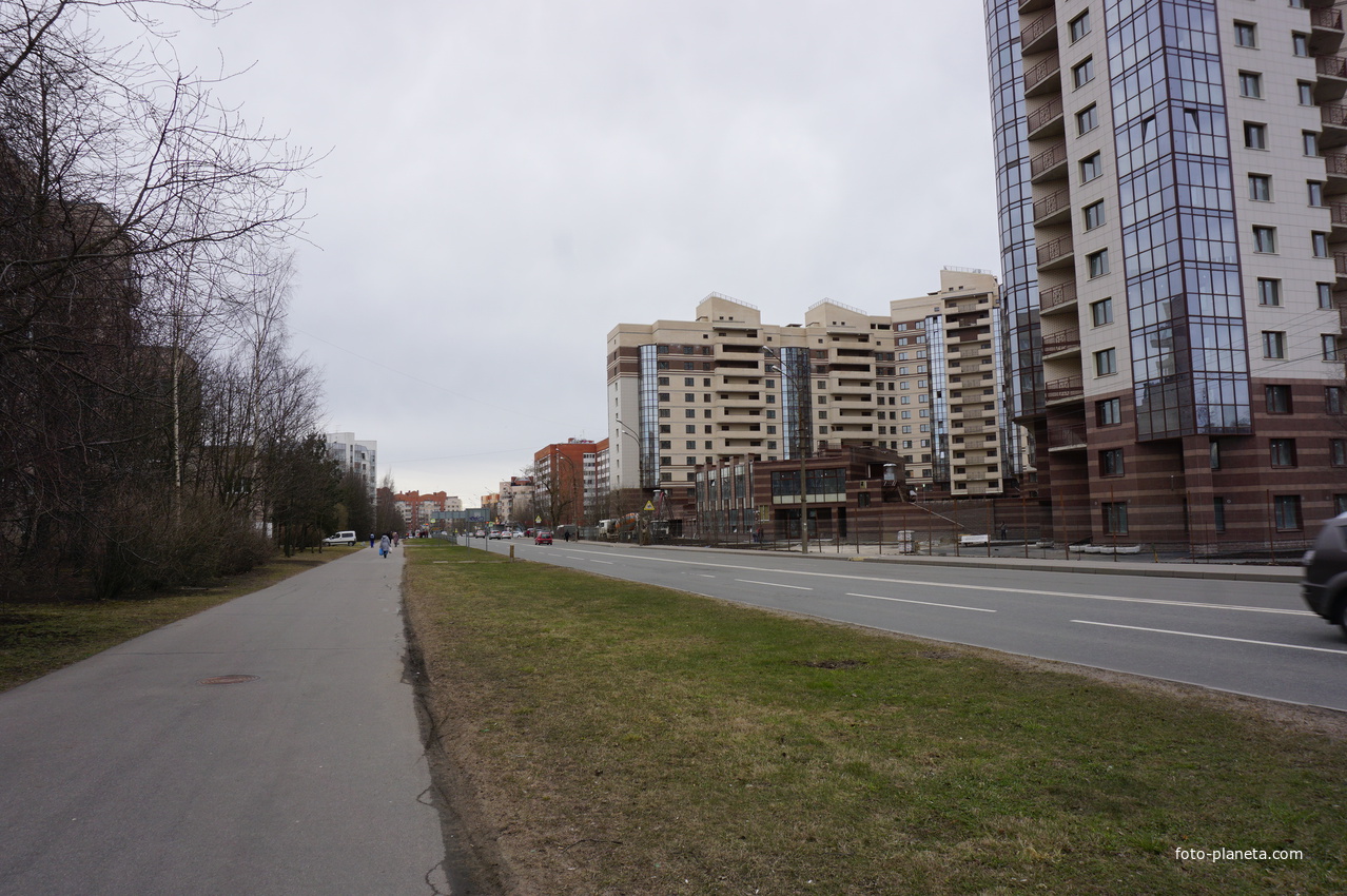 г.Сестрорецк.