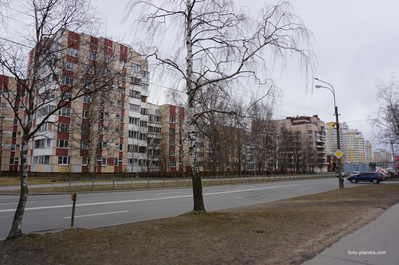 г.Сестрорецк.