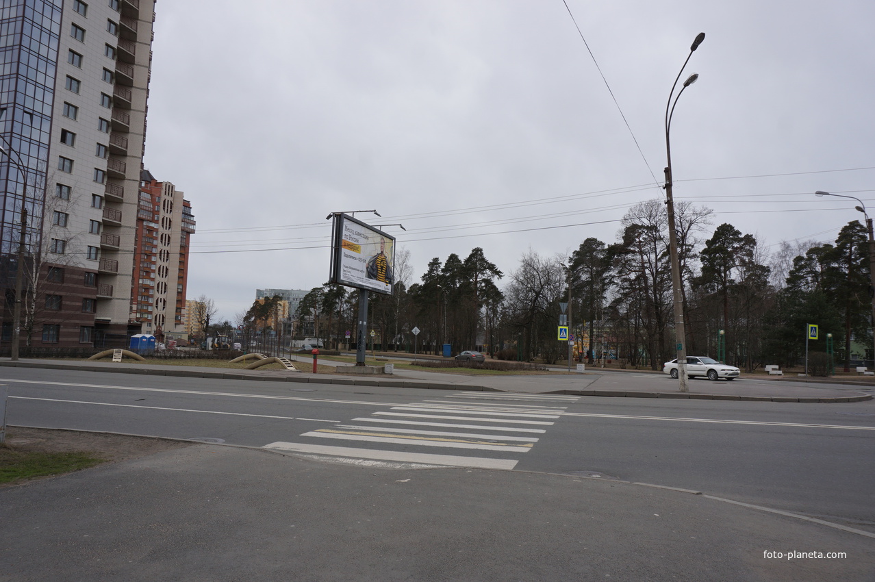 г.Сестрорецк.