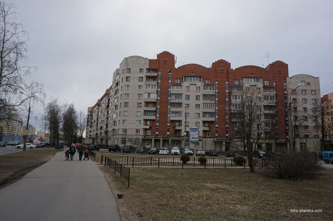 г.Сестрорецк.