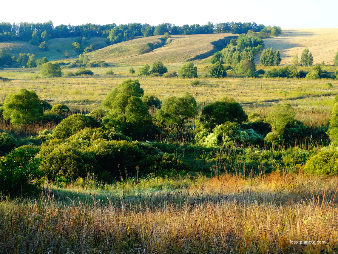 Село борщень фото