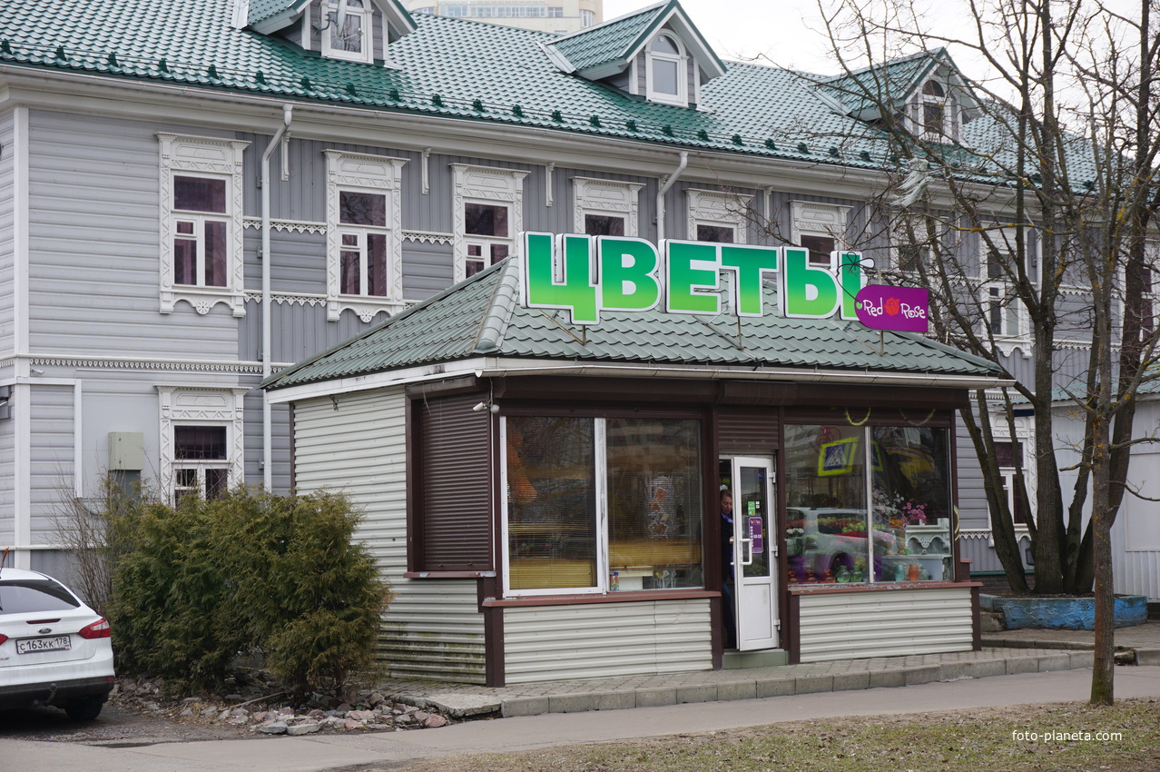 г.Сестрорецк.