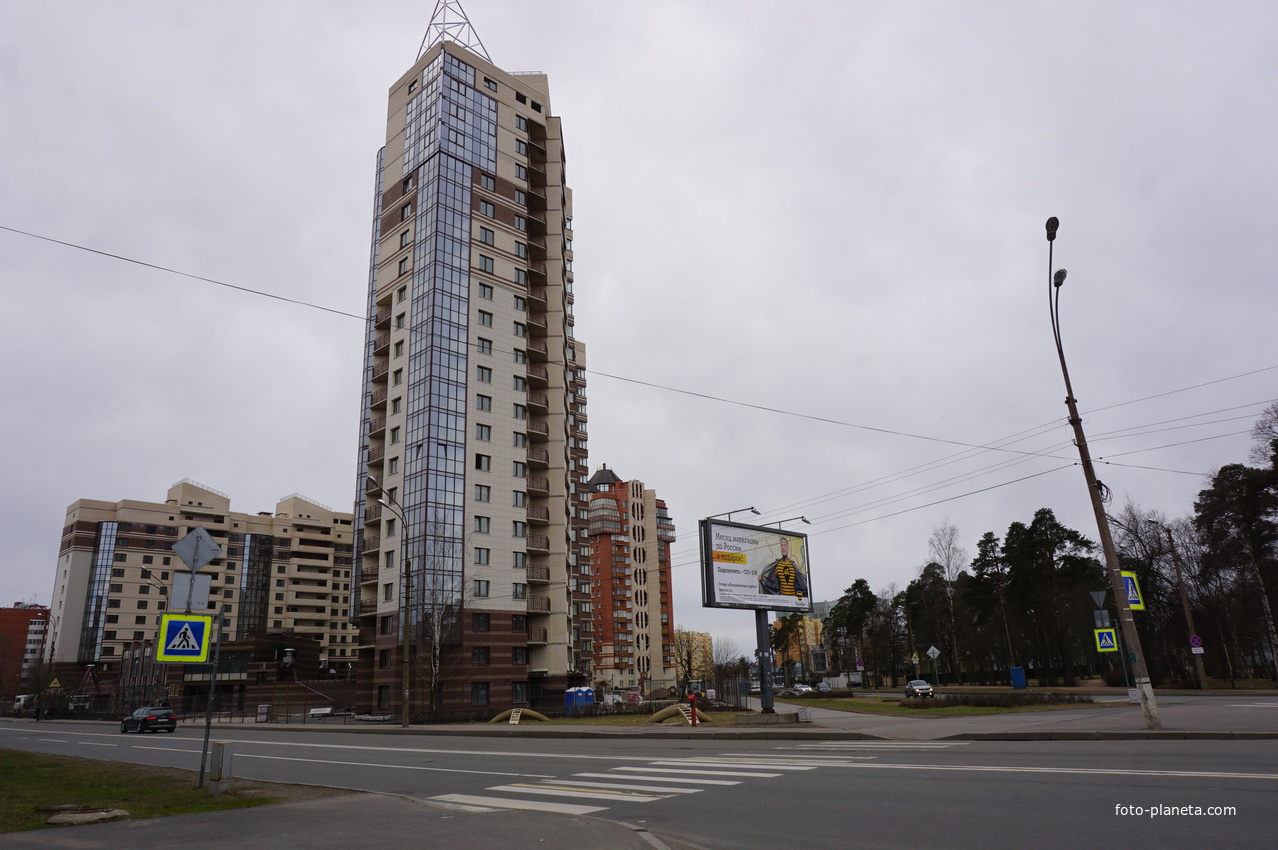 г.Сестрорецк.