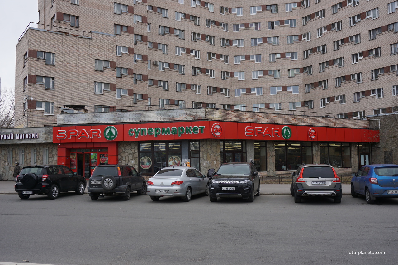 г.Сестрорецк.