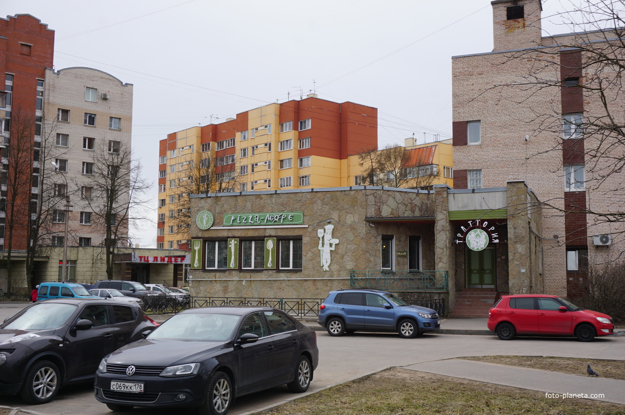 г.Сестрорецк.