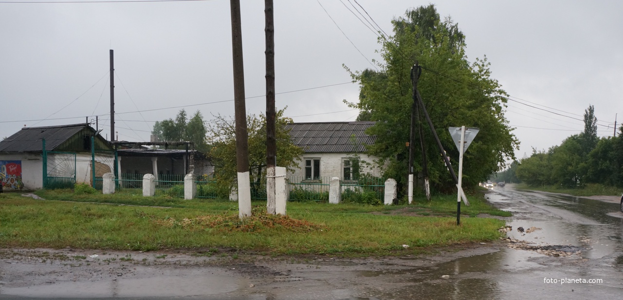 Ласицы сасовский район фото деревня