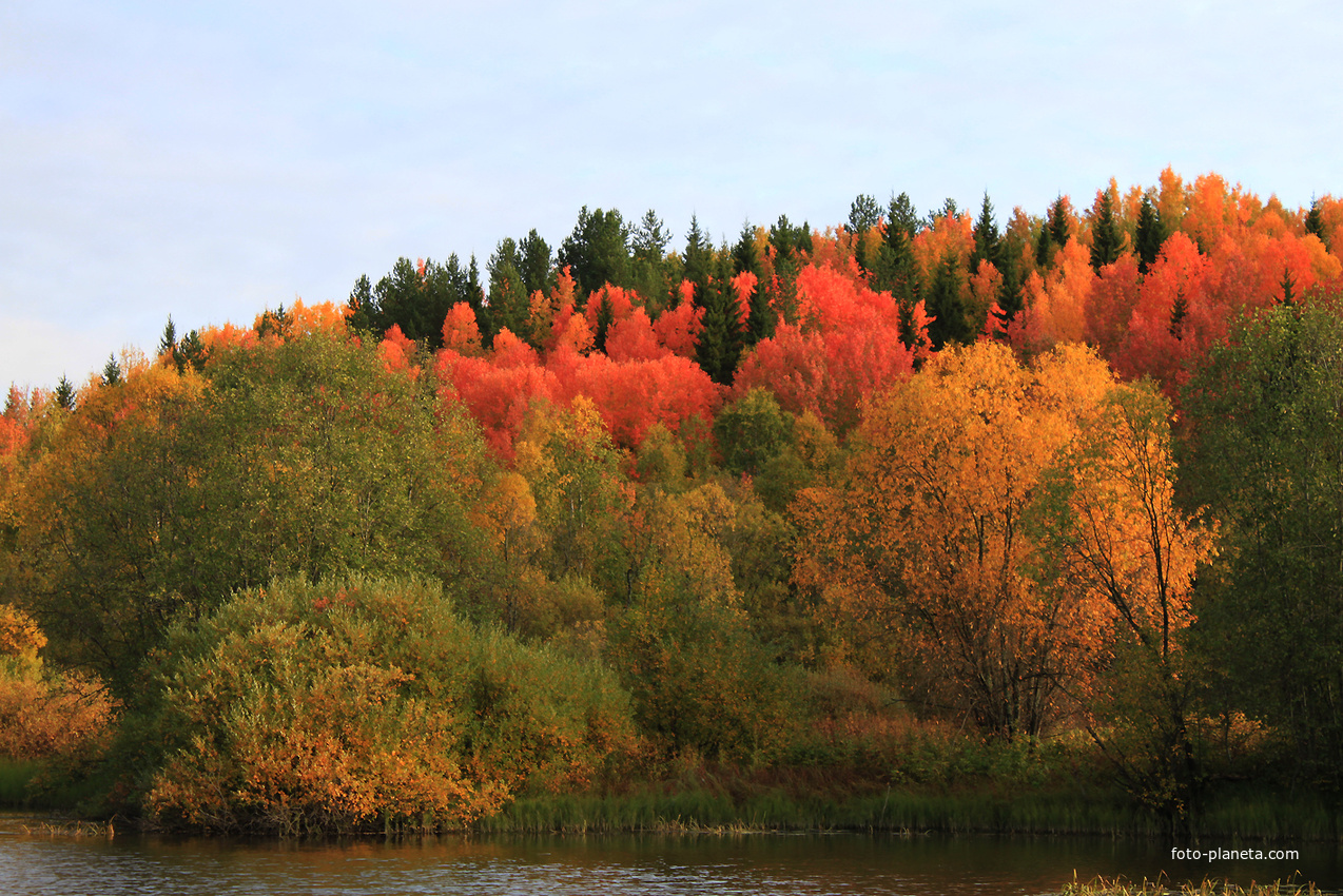 Осень на реке Корелке