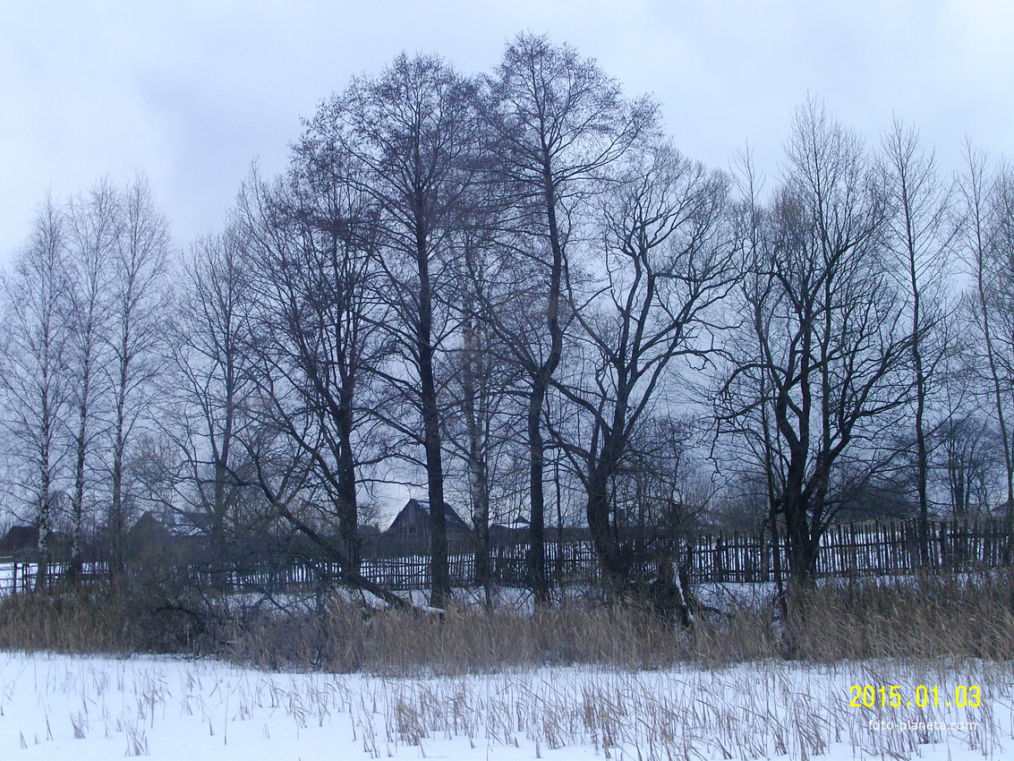 На окраине деревни Лемёшино со стороны Лемёшинского озера