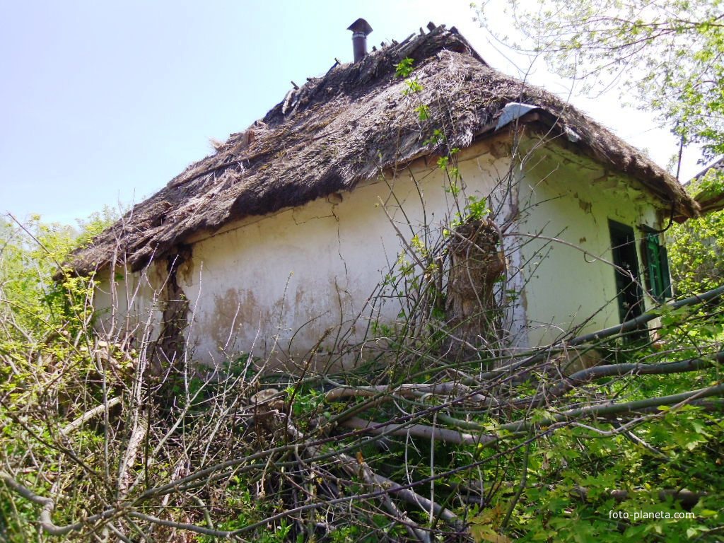 Стара хата під очеретяним дахом(нежитлова).