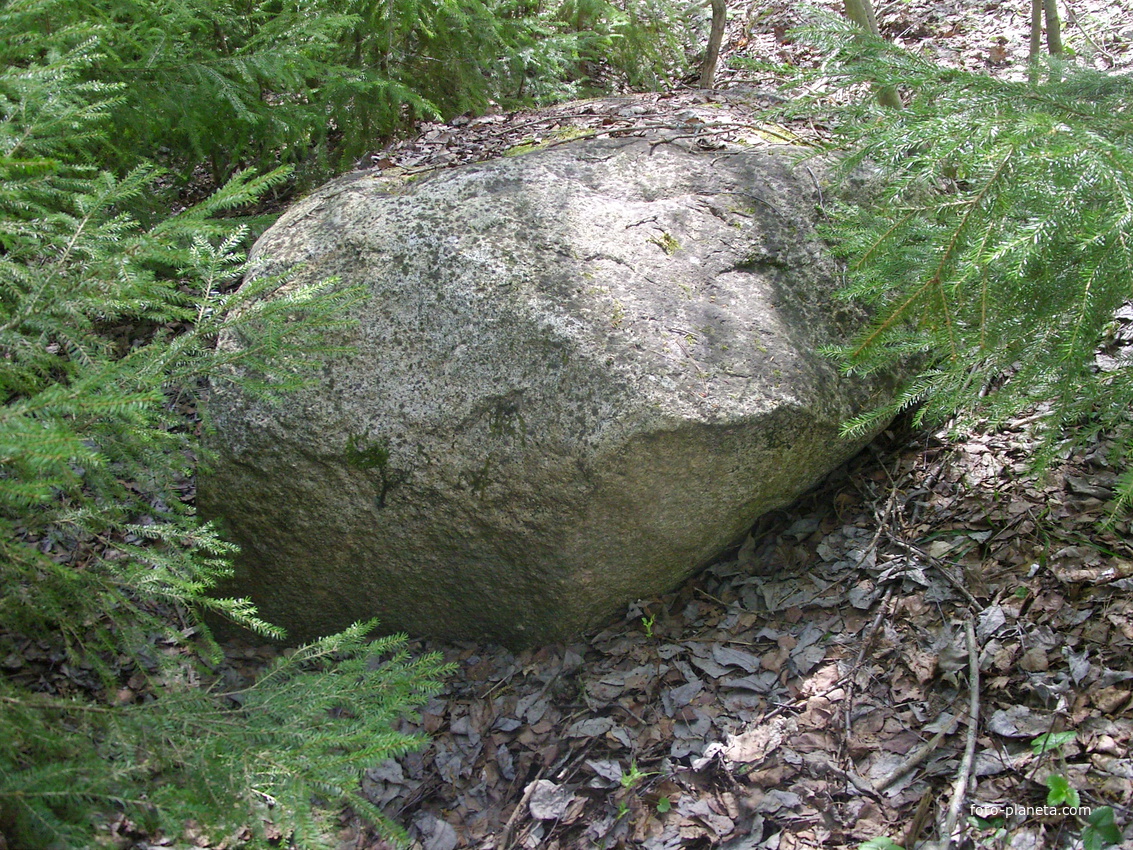 Рюриков камень у дороги между деревнями Турово и Большие Острова