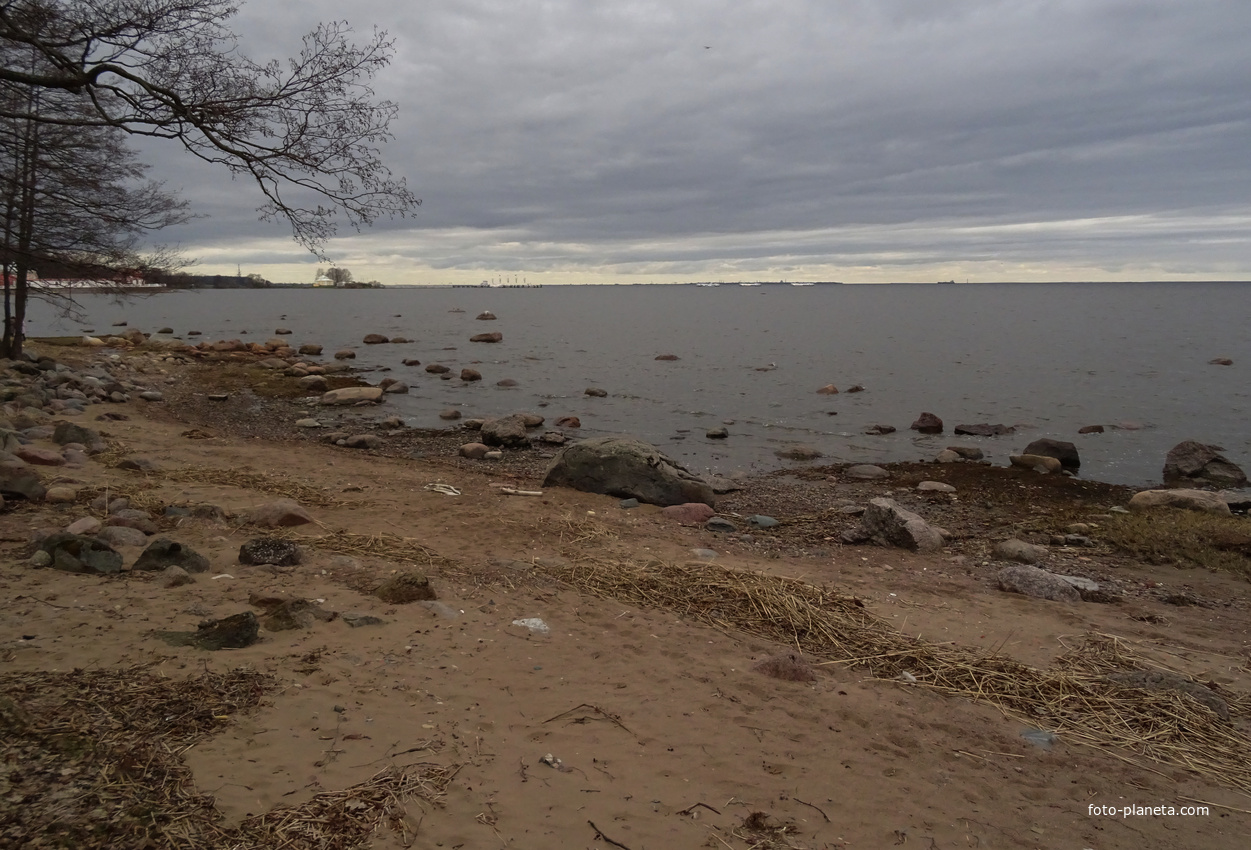 Нижний парк. Берег Финского залива.