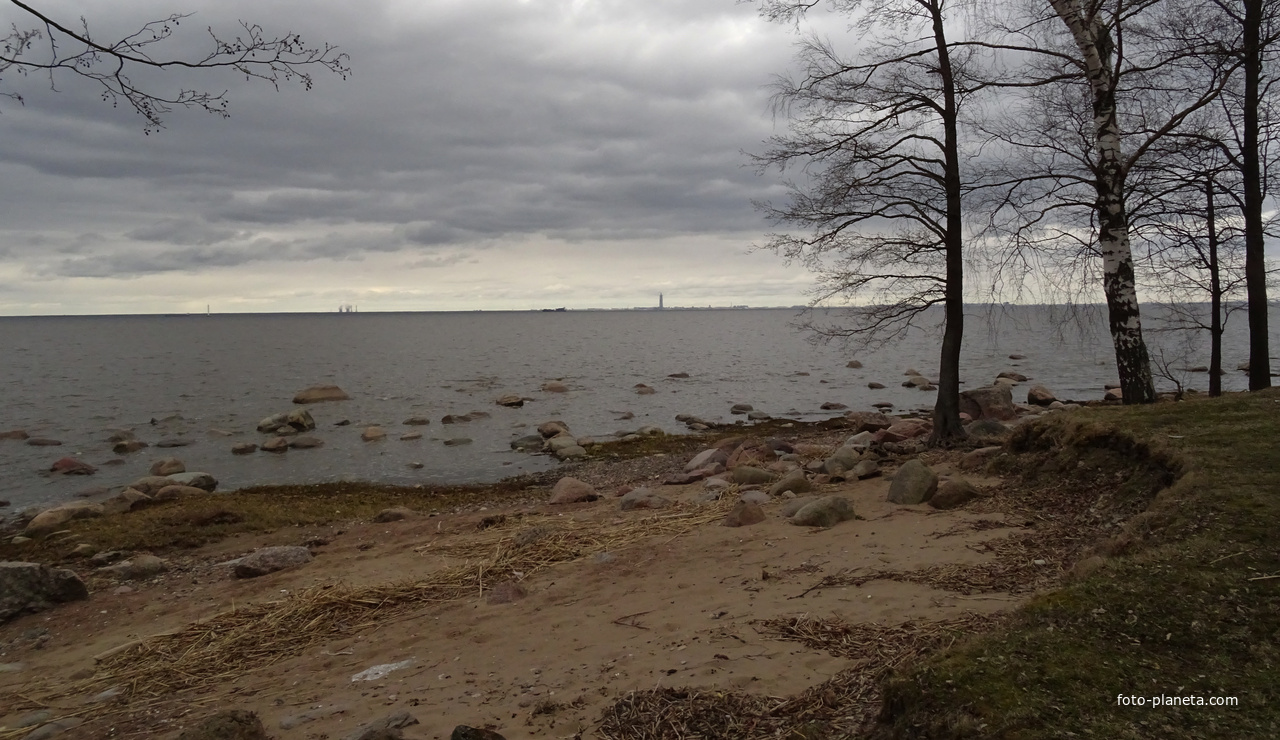 Нижний парк. Берег Финского залива.