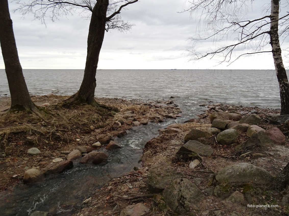 Нижний парк. Берег Финского залива.