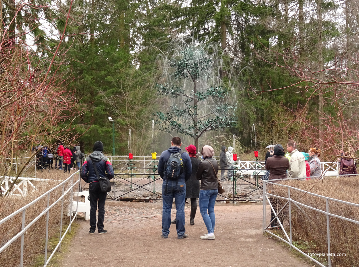 Нижний парк