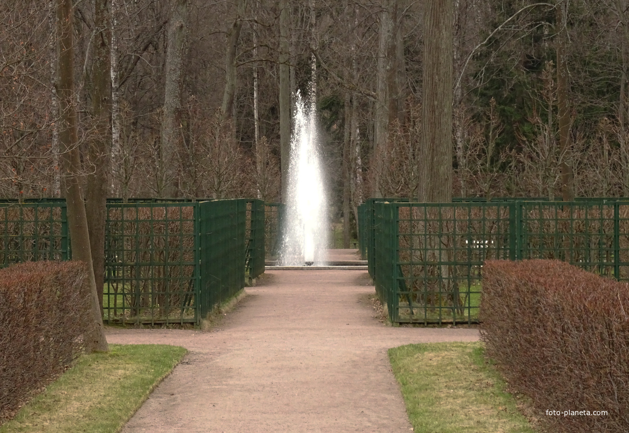 Фонтан в Нижнем парке