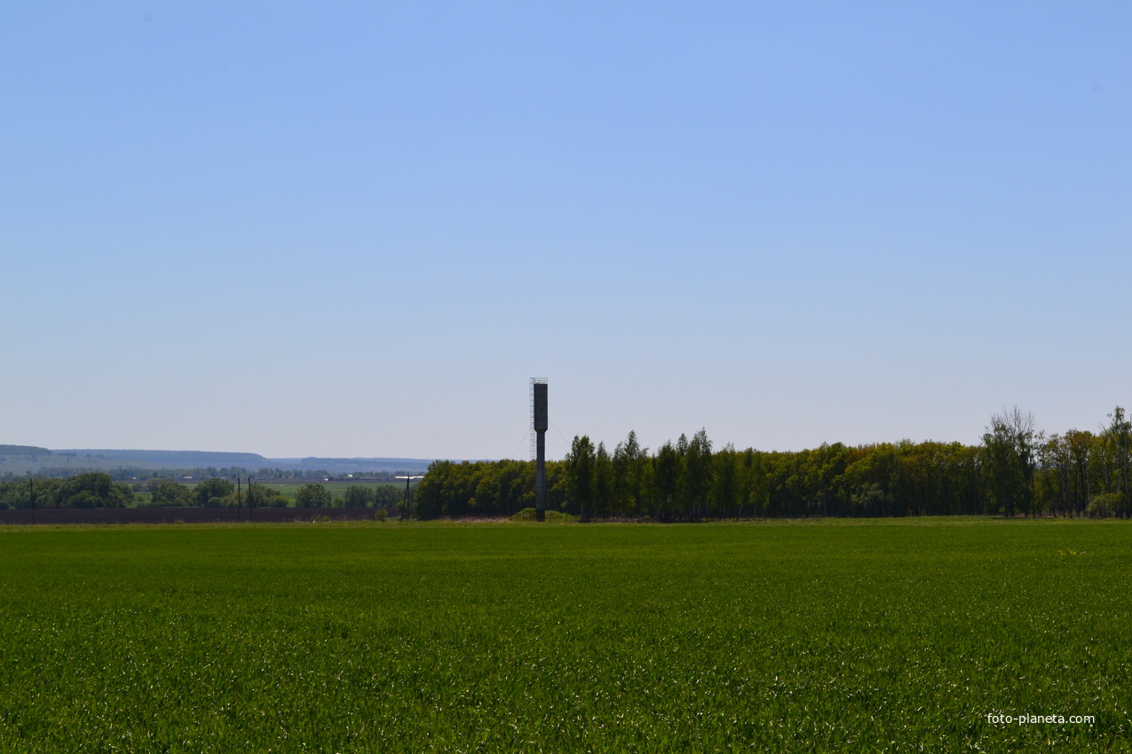 Водонапорная башня на окраине деревни Голубица.