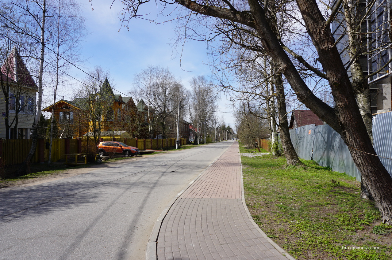 лисий нос санкт петербург