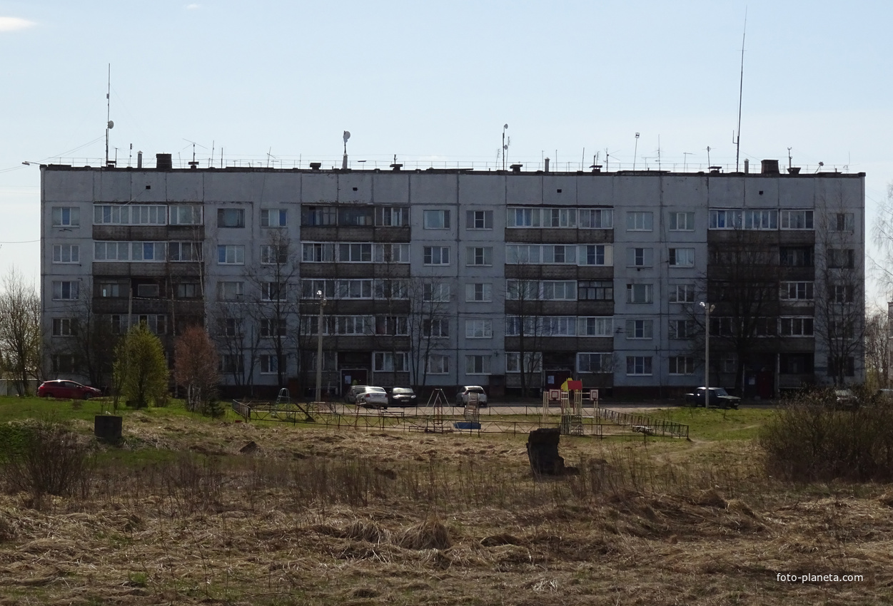 Погода в молодцово. Молодцово Кировский район Ленинградской области. Посёлок Молодцово Ленинградская. Поселок Молодцово Кировский район. Молодцова поселок Ленинградская область.