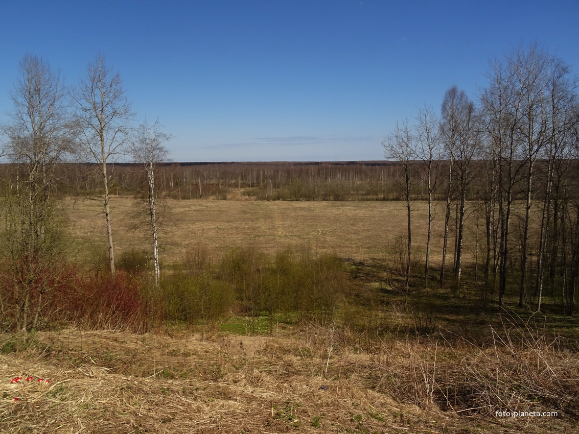 Кировский синявино. Синявинские высоты хроника.