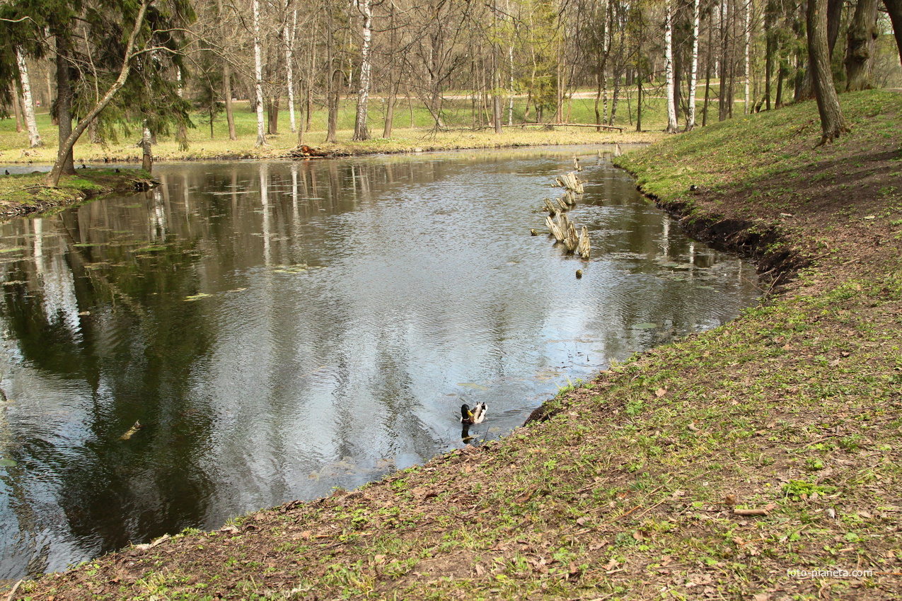 Дворцовый парк. Водный лабиринт