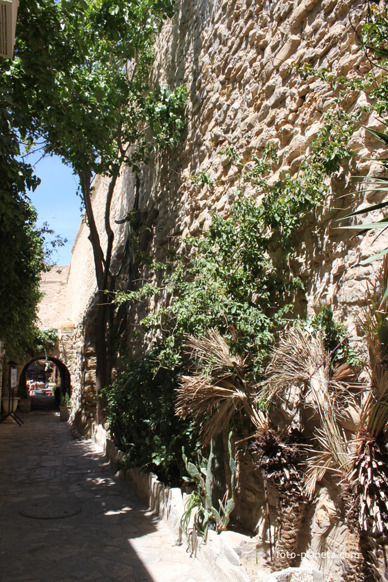 Хаммамет. Медина.