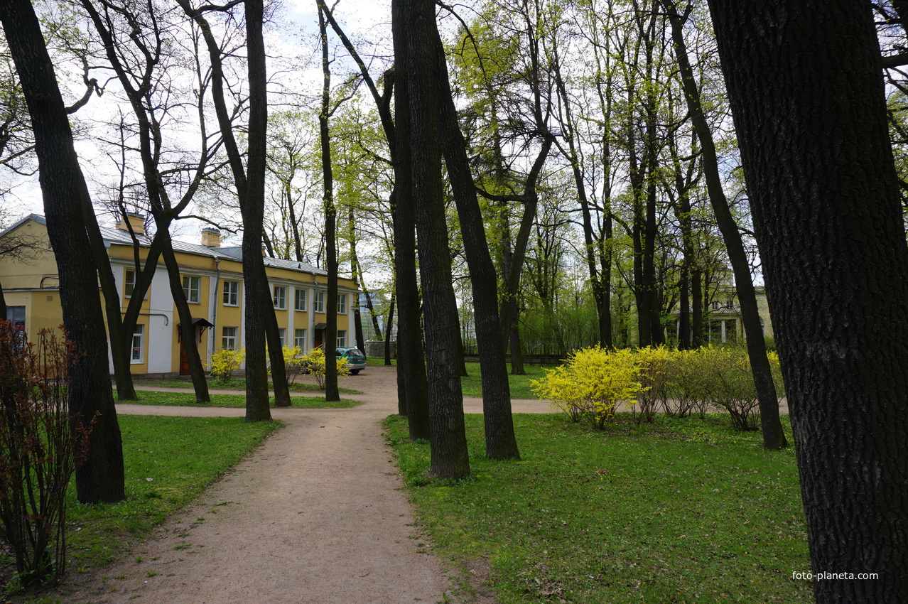 В парке на 2й Берёзовой алее.