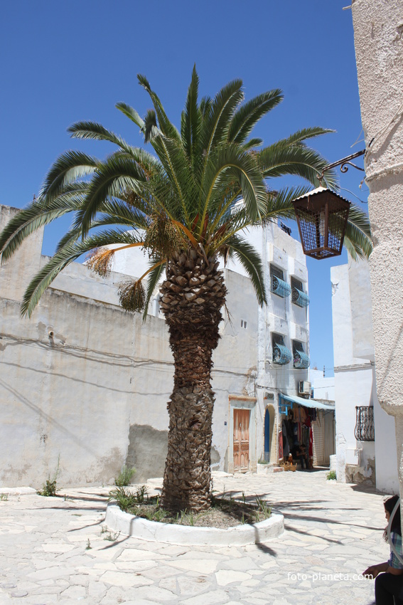 Хаммамет. Медина.