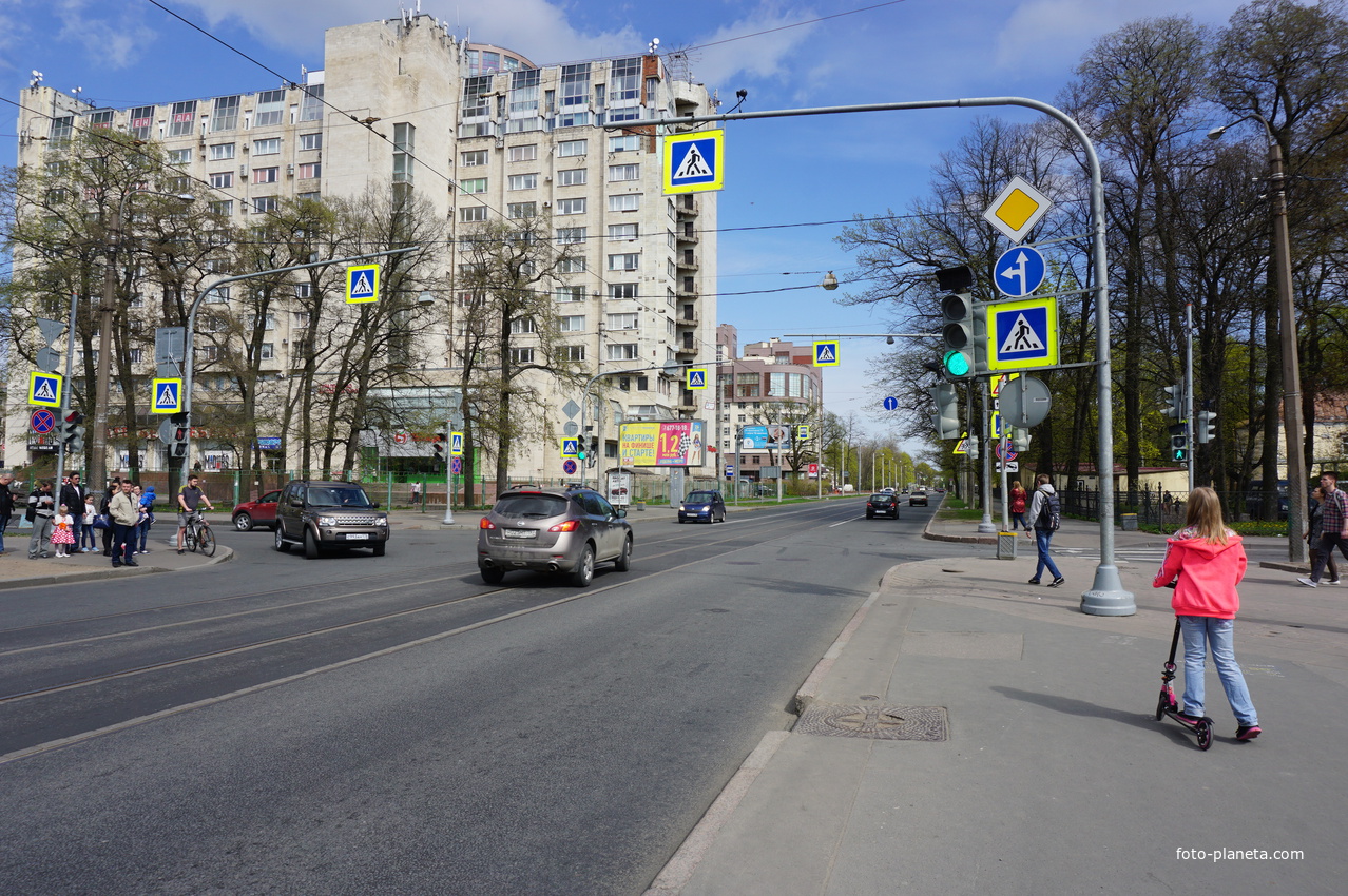 На улице Савушкина.