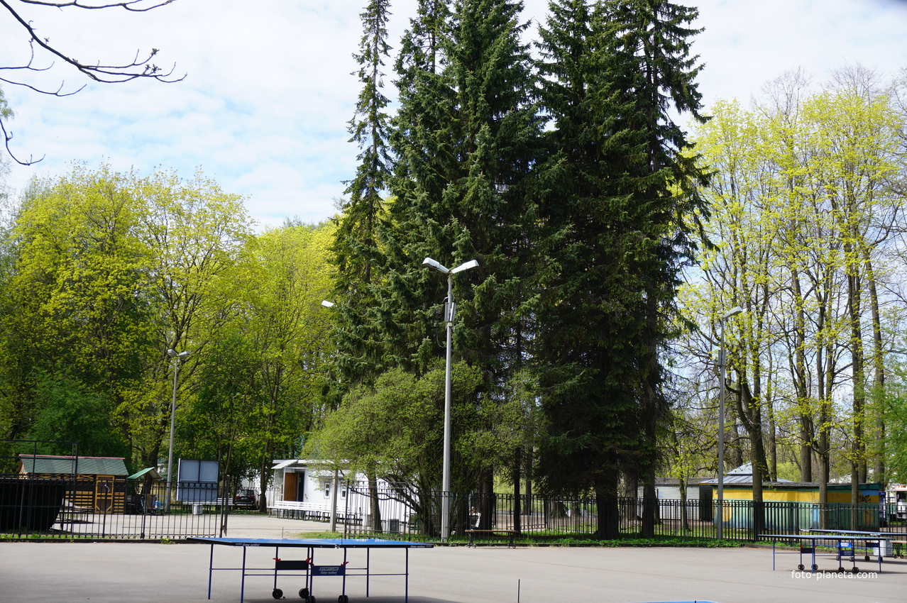 В сквере им.Маргелова.