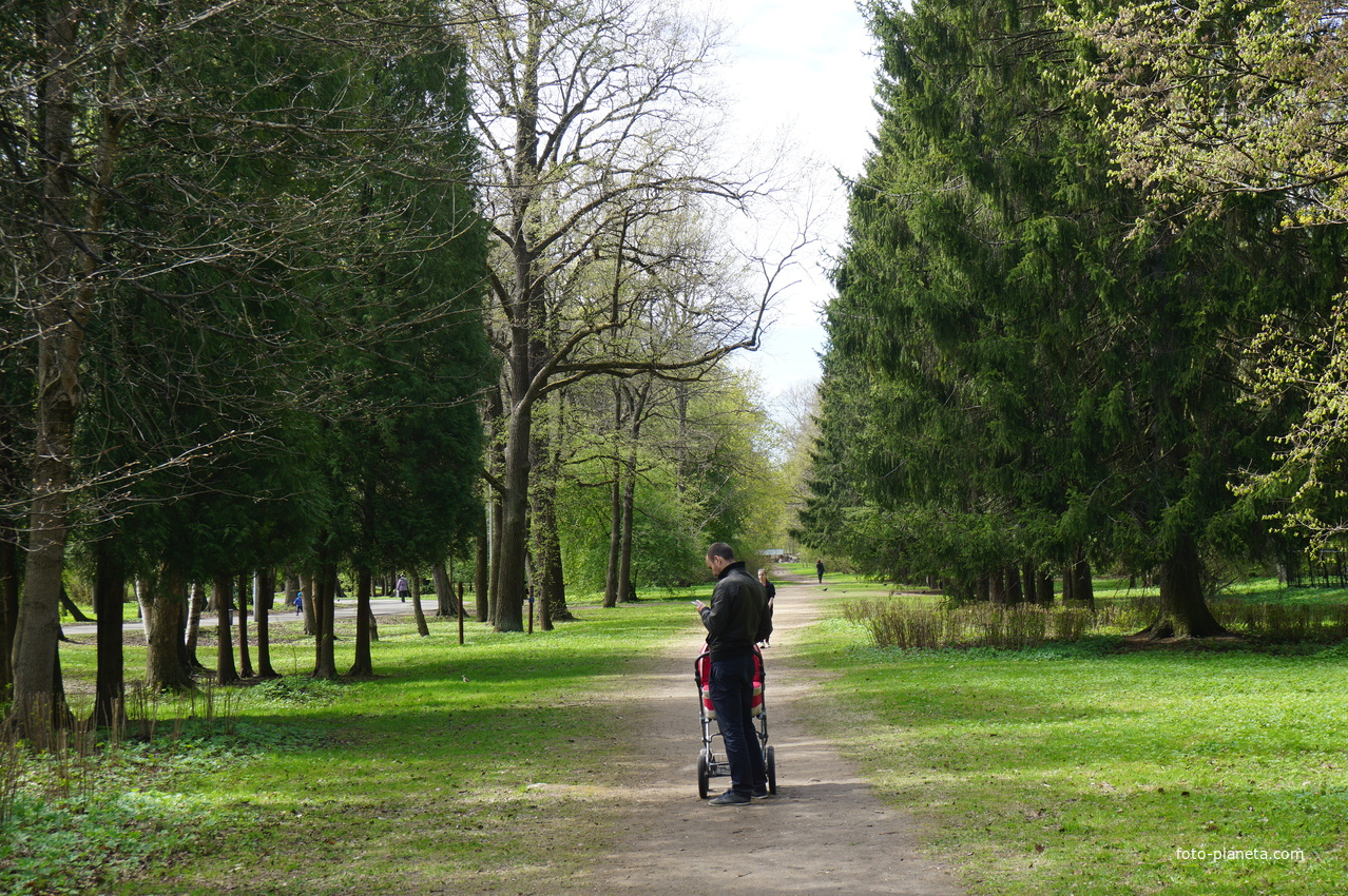 В сквереим.Маргелова.