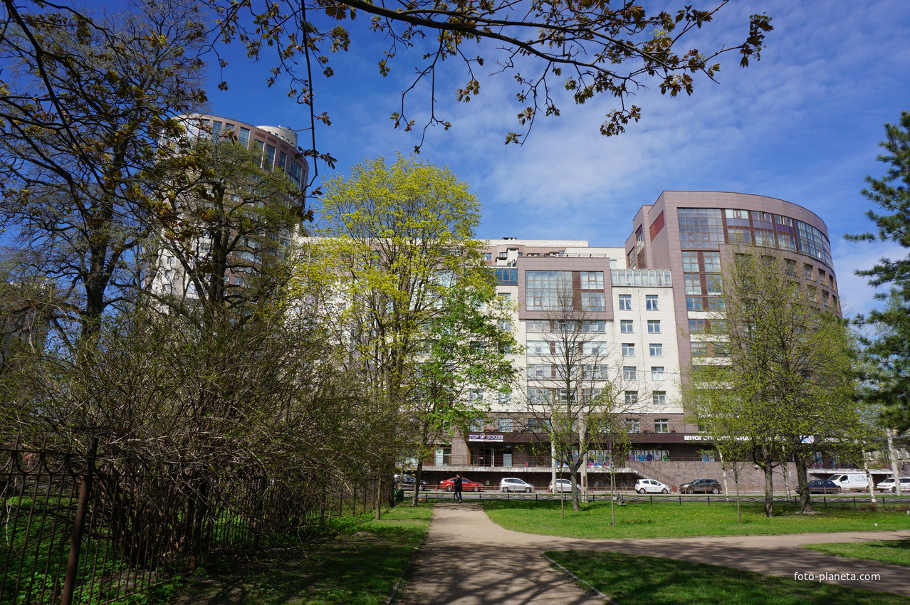 На улице Савушкина.